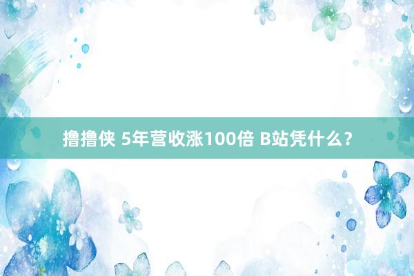 撸撸侠 5年营收涨100倍 B站凭什么？