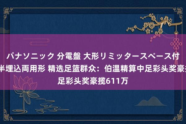 パナソニック 分電盤 大形リミッタースペース付 露出・半埋込両用形 精选足篮群众：伯温精算中足彩头奖豪揽611万