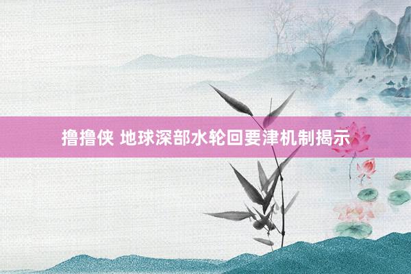 撸撸侠 地球深部水轮回要津机制揭示