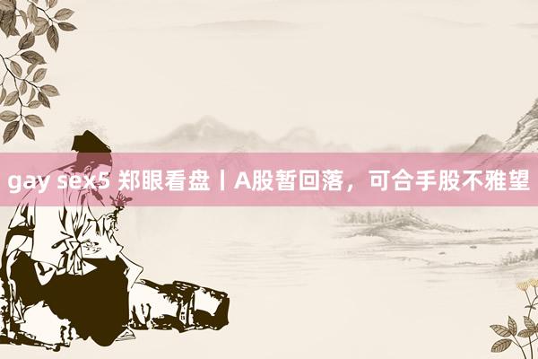 gay sex5 郑眼看盘丨A股暂回落，可合手股不雅望