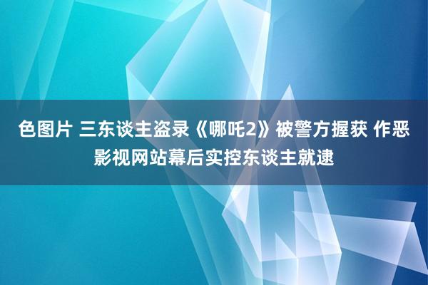 色图片 三东谈主盗录《哪吒2》被警方握获 作恶影视网站幕后实控东谈主就逮
