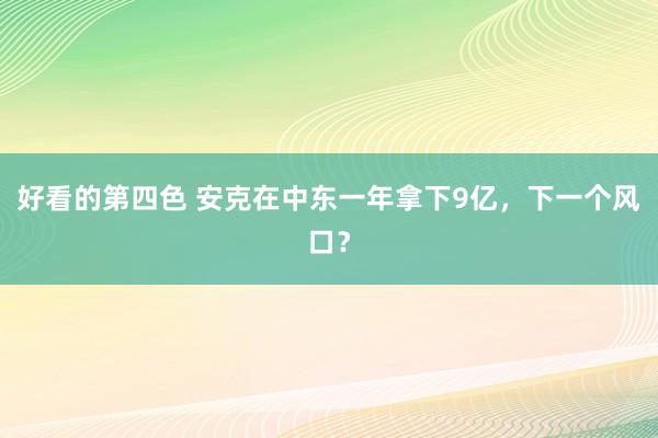 好看的第四色 安克在中东一年拿下9亿，下一个风口？