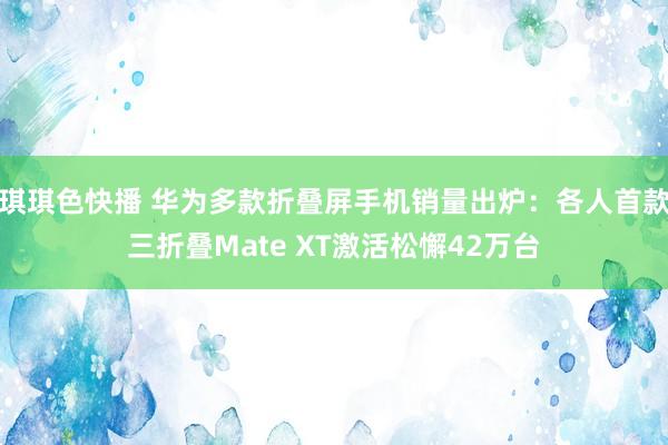 琪琪色快播 华为多款折叠屏手机销量出炉：各人首款三折叠Mate XT激活松懈42万台